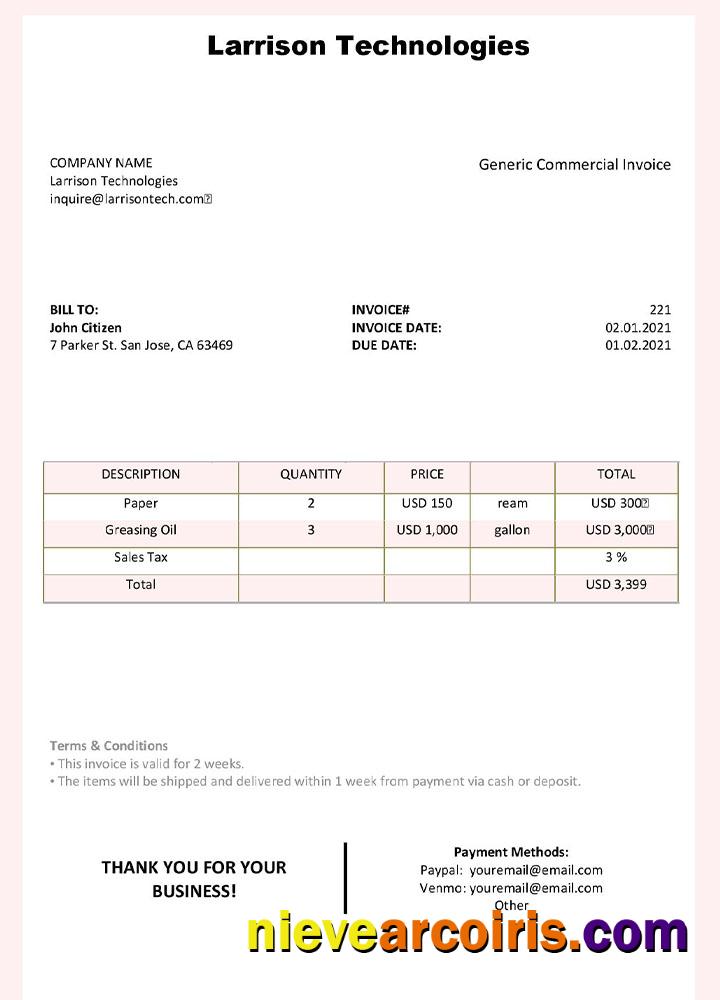 USA Larrison Technologies invoice